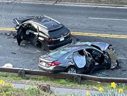 Accident And Insurance Attorney Your Trusted Guide