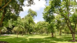 Garden Parks View Ya · Free photo on Pixabay