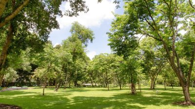 Garden Parks View Ya · Free photo on Pixabay